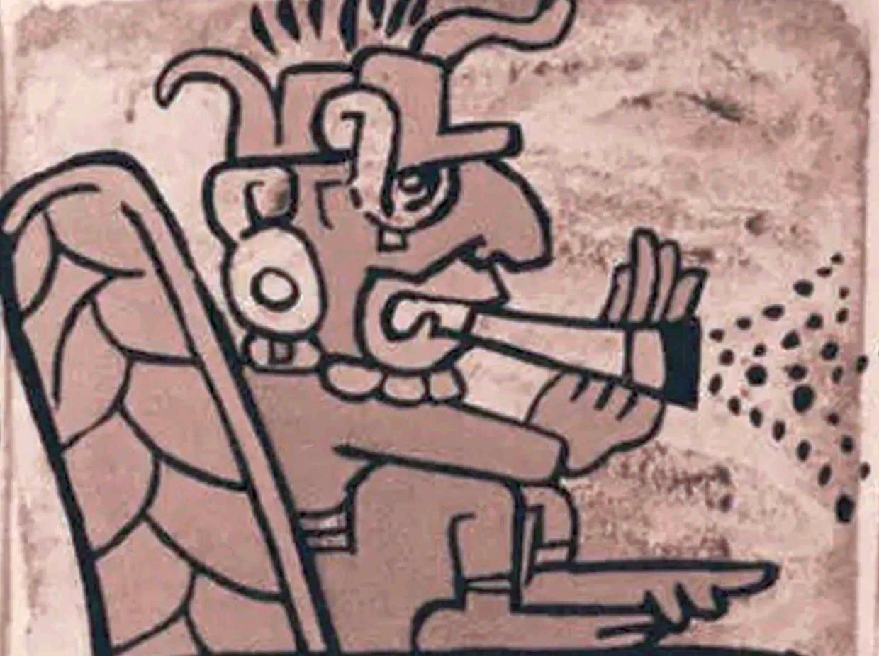 Η Καταγωγή των Πούρων