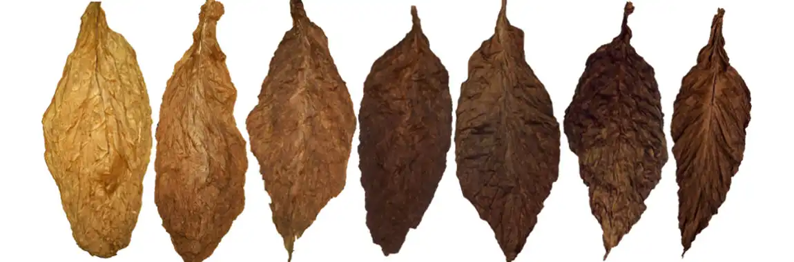 Wrapper Types