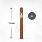 πούρο Κουβανέζικο