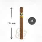 Cohiba πούρο μεγάλο Linea Siglo V γεύση σοκολάτα βανίλια