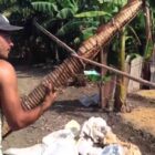 μέθοδος andullo για πούρα