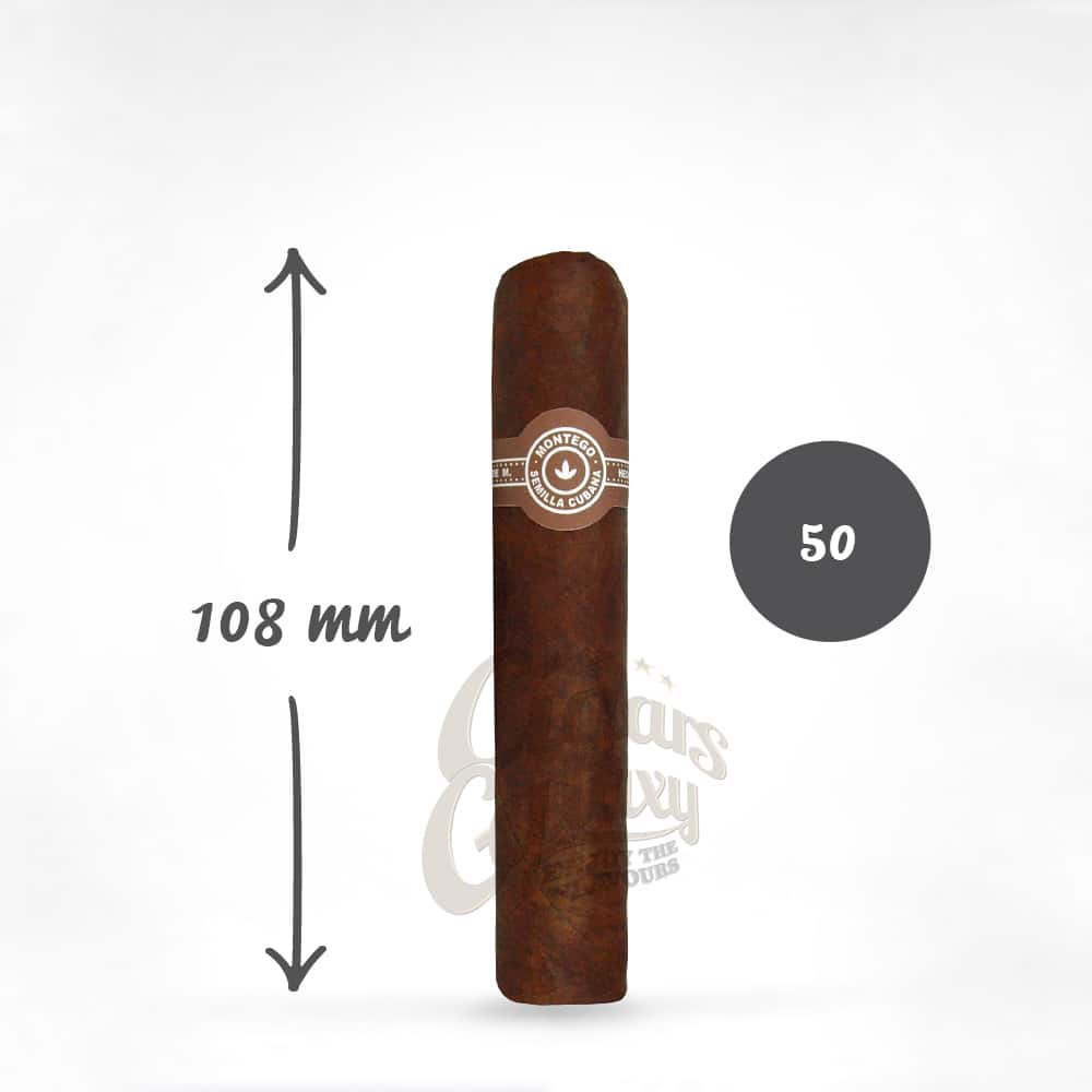 montego_petit_robusto.jpg