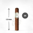 πούρο Ονδούρας, Mourtides robustos