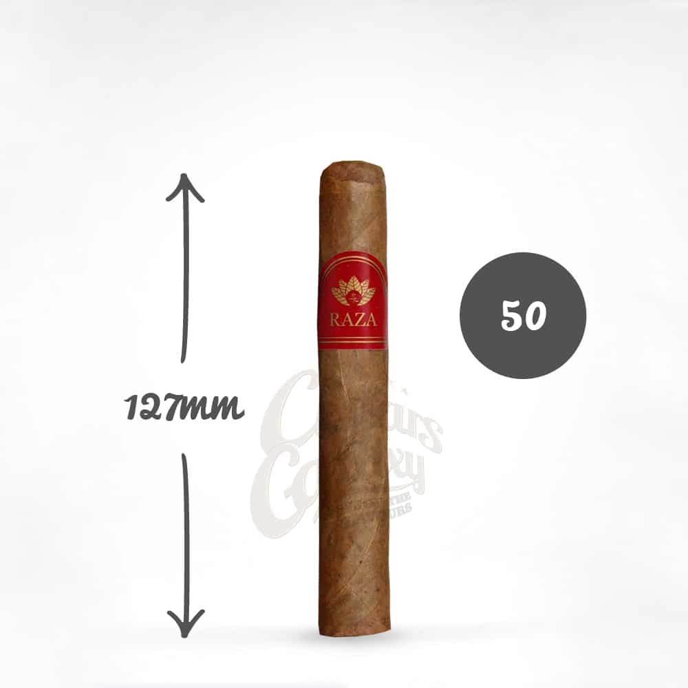 raza_robusto_pouro.jpg raza robusto πούρο