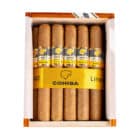 LINEA 1492 Siglo II πούρο της Cohiba, Κουβανέζικο, πάνω σε ξύλινο καφέ κουτί για πούρα