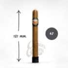 LUIS MARTINEZ – Churchill Crystals