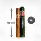 PUNCH – Coronations A/T