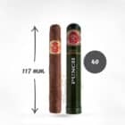 PUNCH – Petit Coronations A/T