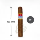 la estrella polar gigante