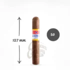 la estrella polar robusto