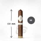 DAVIDOFF - Dominicana Robusto