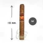 Το Flor de Oliva Churchill είναι ένα υπέροχο χειροποίητο πούρο που μόλις το ανάψετε, εμφανίζονται γήινες και "ξύλινες" νότες όπως επίσης και νότες πιπεριού.