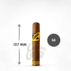 Dominican Robusto πούρο ρομπούστο Δομινικανής Δημοκρατίας