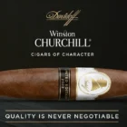 Winston Churchill Limited Edition 2022 πούρο Νικαράγουας Εκουαδόρ Δομινικανής Δημοκρατίας