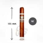 Alma Del Campo Madrono πούρο Νικαράγουας μήκους 165 χιλιοστών και διαμέτρου 58 χιλιοστών με γεύση μπαχαρικών και με δαχτυλίδι της εταιρίας πούρων Plasencia