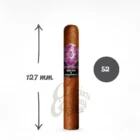 Traveling Man Sumatra Robusto πούρο ρομπούστο Νικαράγουας