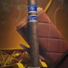 Vintage Series 2003 Cameroon Robusto πούρο ρομπούστο Νικαράγουας Δομινικανής Δημοκρατίας Ονδούρα γεύση δέρματος καφέ ελαφρώς πικάντικο μαζί με δερμάτινη θήκη πούρων πουροθήκη