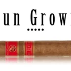 Sun Grown Robusto πούρο παλαιωμένο Νικαράγουας Δομινικανής Δημοκρατίας
