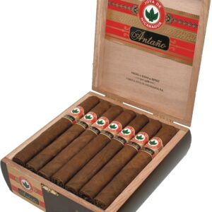 Antano 1970 Alisado πούρο Νικαράγουα μέσα στο κουτί τους