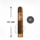 linea de oro hidalgos πούρο κακάο Αβάνα διάμετρος 57 χιλιοστά μήκος 125 χιλιοστά