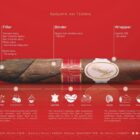 πούρο davidoff σε σχήμα perfectos