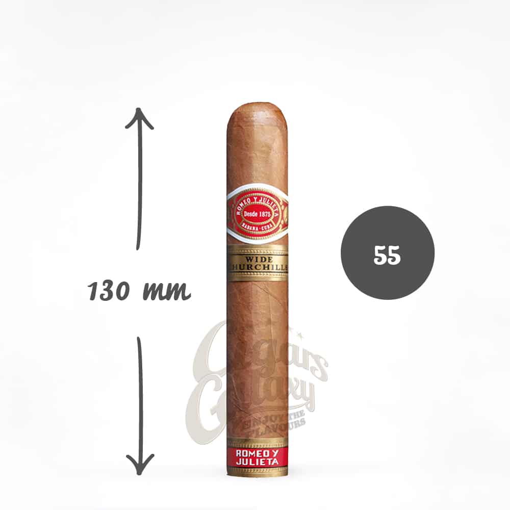 Romeo y Julieta πούρο υγραντήρας Wide Churchills Travel Humidor υγραντήρας πούρο