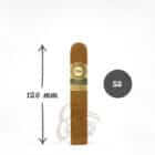 shade robusto πούρο ρομπούστο διάμετρος 52 χιλιοστά μήκος 120 χιλιοστά