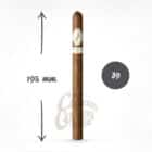 DAVIDOFF - Signature No1 Limited Edition Collection πούρο