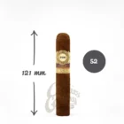 PERLA DEL MAR - Corojo Robusto πούρο