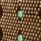 PUROS SANTA CLARA - AZ Special Blend Grande Robusto, πούρο ρομπούστο, Μεξικάνικο