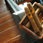 LA UNICA - Dominican Primeros #400 Natural πούρο