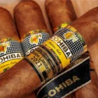 Cohiba 55 Aniversario Edition Limitada 2021, Κουβανέζικα πούρα