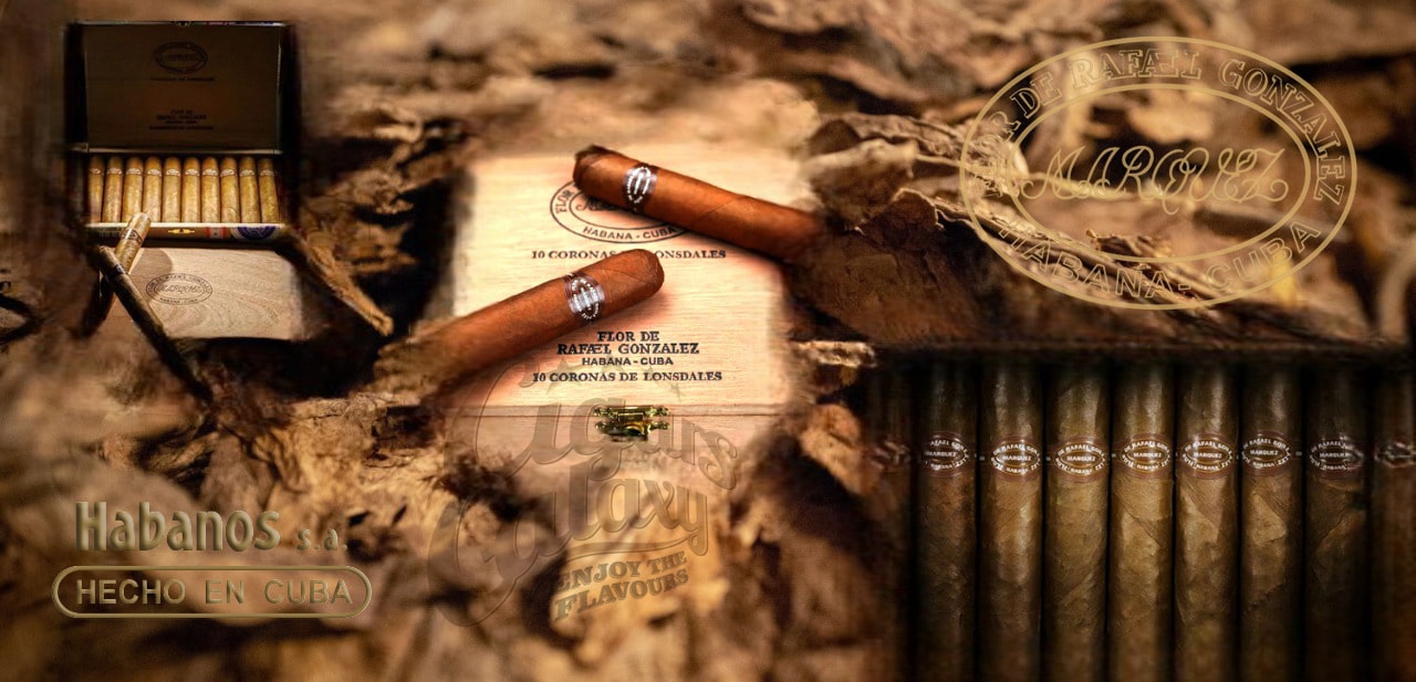 RAFAEL GONZALES - Coronas de Lonsdales
