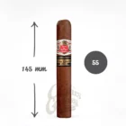HOYO DE MONTERREY - Monterreyes No4 Edicion Limitada 2021 πούρο Κούβας