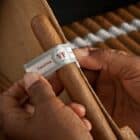 VEGAFINA - Classic Line Robusto, πούρο, πούρο, δύο χέρια που φτιάχνουν ένα πούρο