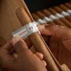 VEGAFINA - Classic Line Robusto, πούρο, δύο χέρια που φτιάχνουν ένα πούρο