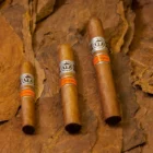 VEGAFINA - Nicaragua Robusto πούρο