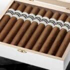 SILENCIO - Los Rios Robusto, πούρο