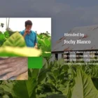 LA GALERA - Anemoi Anemoi πούρο