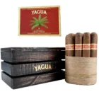 J.C. NEWMAN - Yagua πούρο δίπλα σε ξύλινο καφέ κουτί