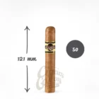 QUORUM - Shade Robusto πούρο