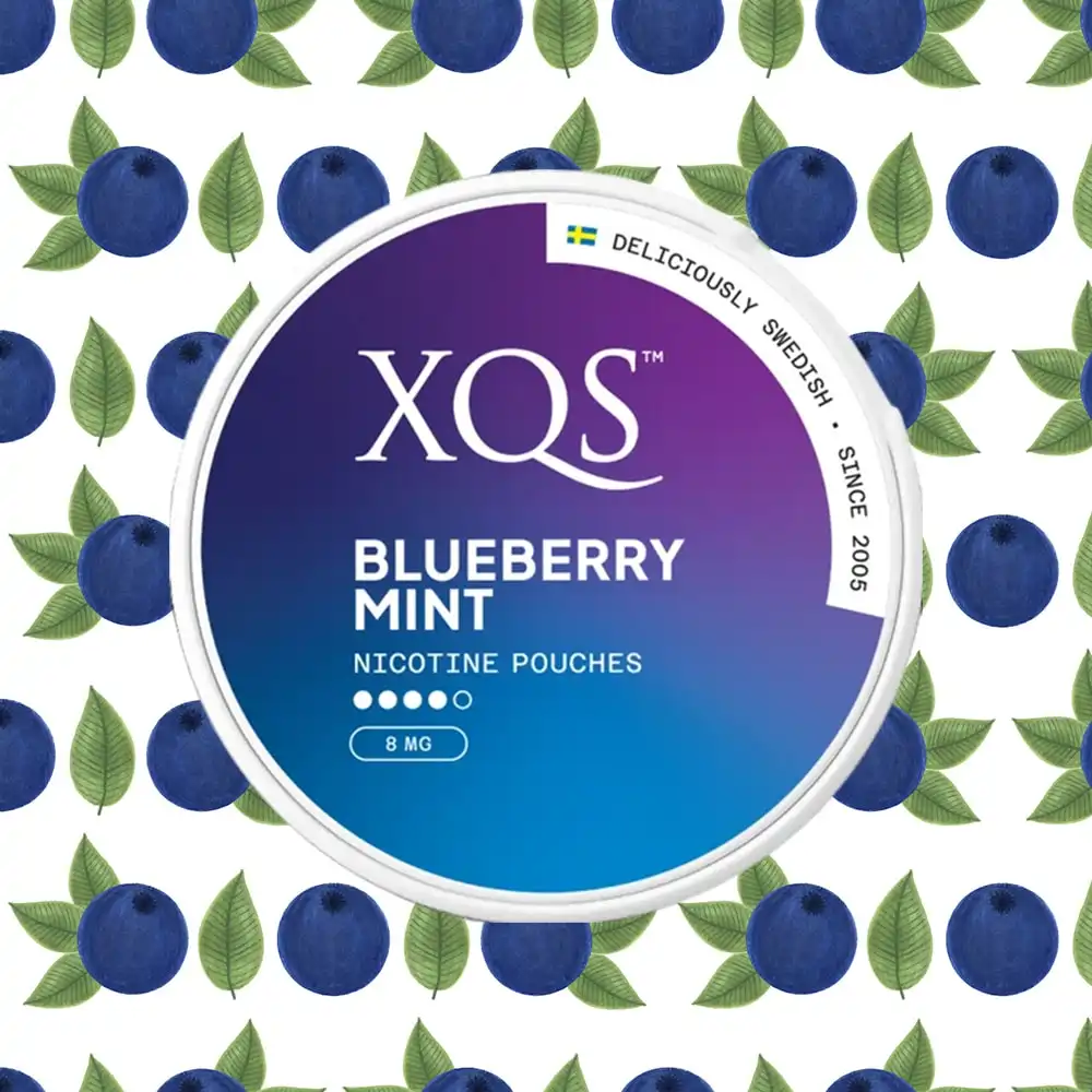 XQS - Φακελάκια Νικοτίνης Blueberry Mint Strong 8mg, κουτί στρογγυλό μπλε