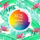 XQS - Φακελάκια Νικοτίνης Tropical Strong 8mg, κουτί στρογγυλό κίτρινο-μπλε