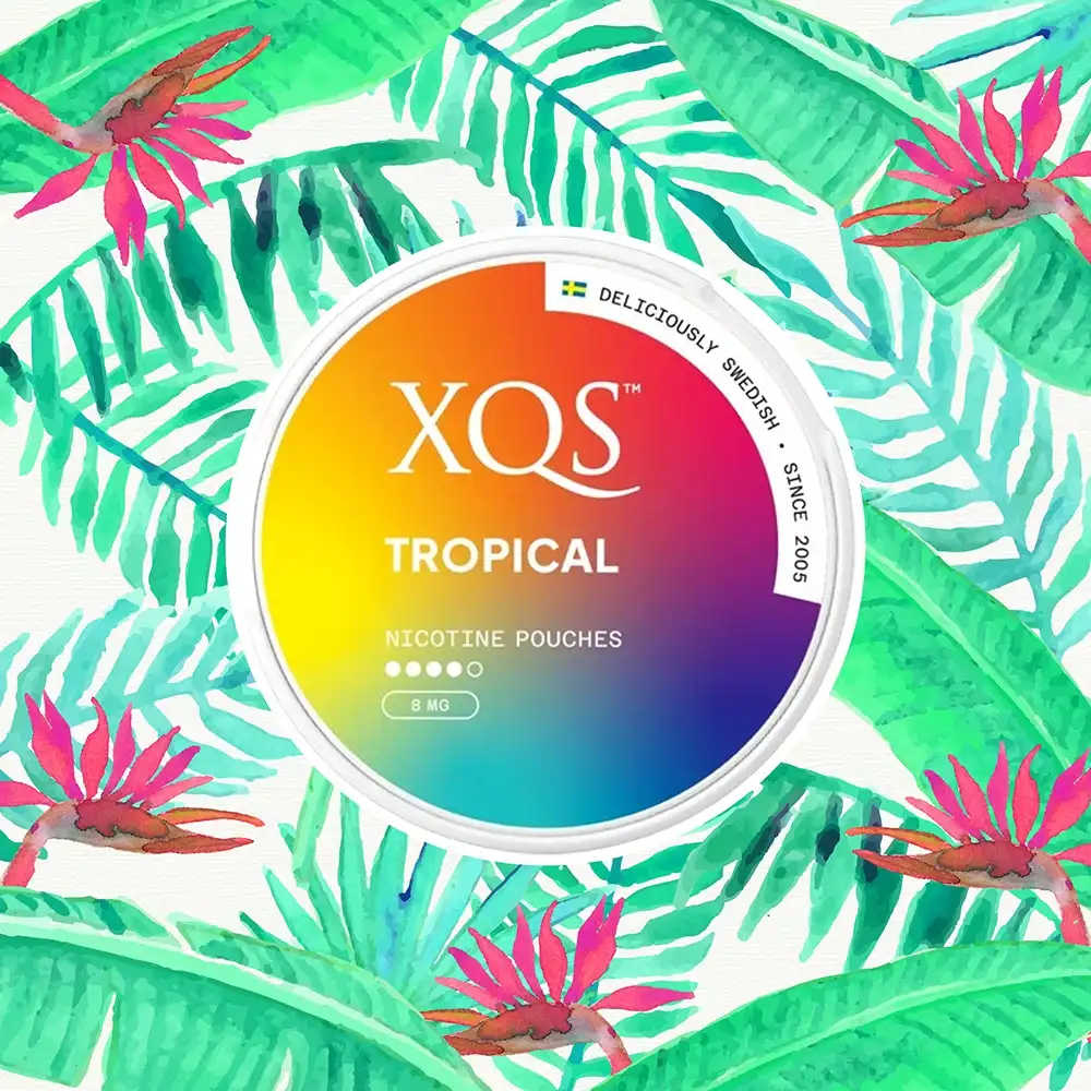 XQS - Φακελάκια Νικοτίνης Tropical Strong 8mg, κουτί στρογγυλό κίτρινο-μπλε