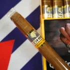 COHIBA - Wide Short 6's κουβανέζικα πουράκια cigarillos