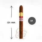 POR LARRANAGA - Fenix Edicion Regional Phoenicia 2021 πούρο