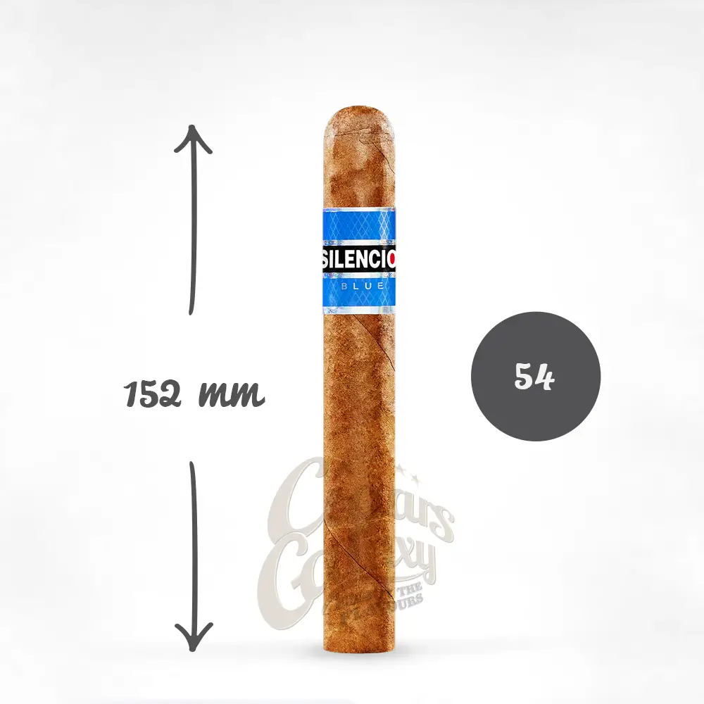 silencio_blue_toro_1