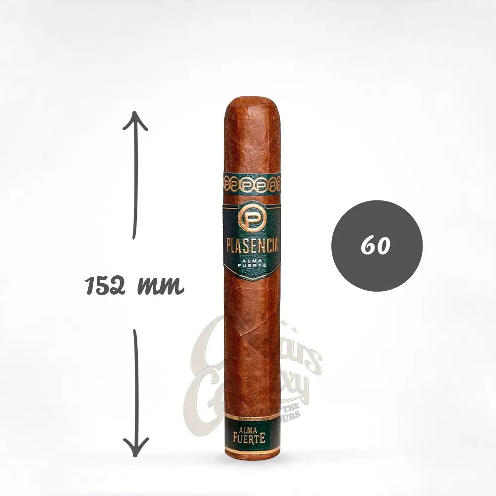 ALMA_FUERTE_BOX_PRESSED_SIXTO_I_HEXAGON_1