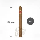 Το Arturo Fuente Curly Head Deluxe Natural αποτελεί ένα από τα πιο προσιτά και αξιόπιστα πούρα της οικογένειας Fuente, εκφράζοντας τη φιλοσοφία της μάρκας.